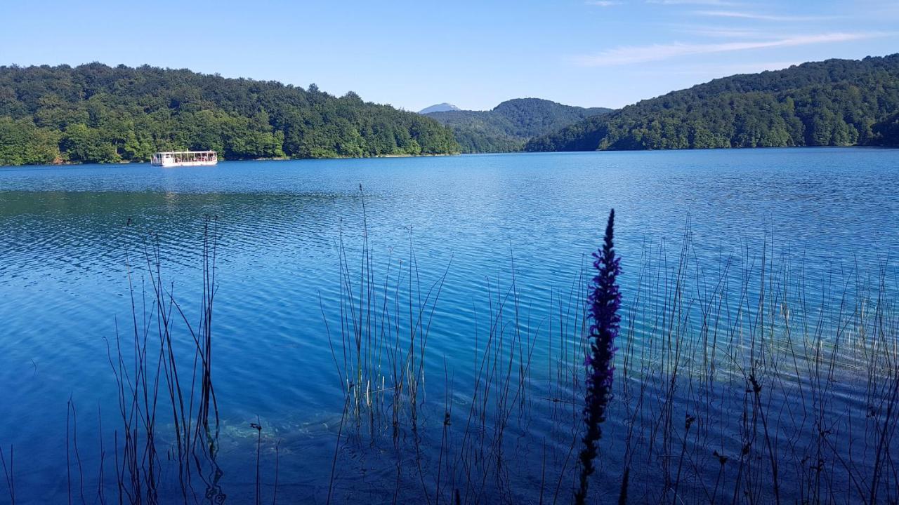 B&B Plitvice Lakes Villa Prica Плитвица Село Екстериор снимка