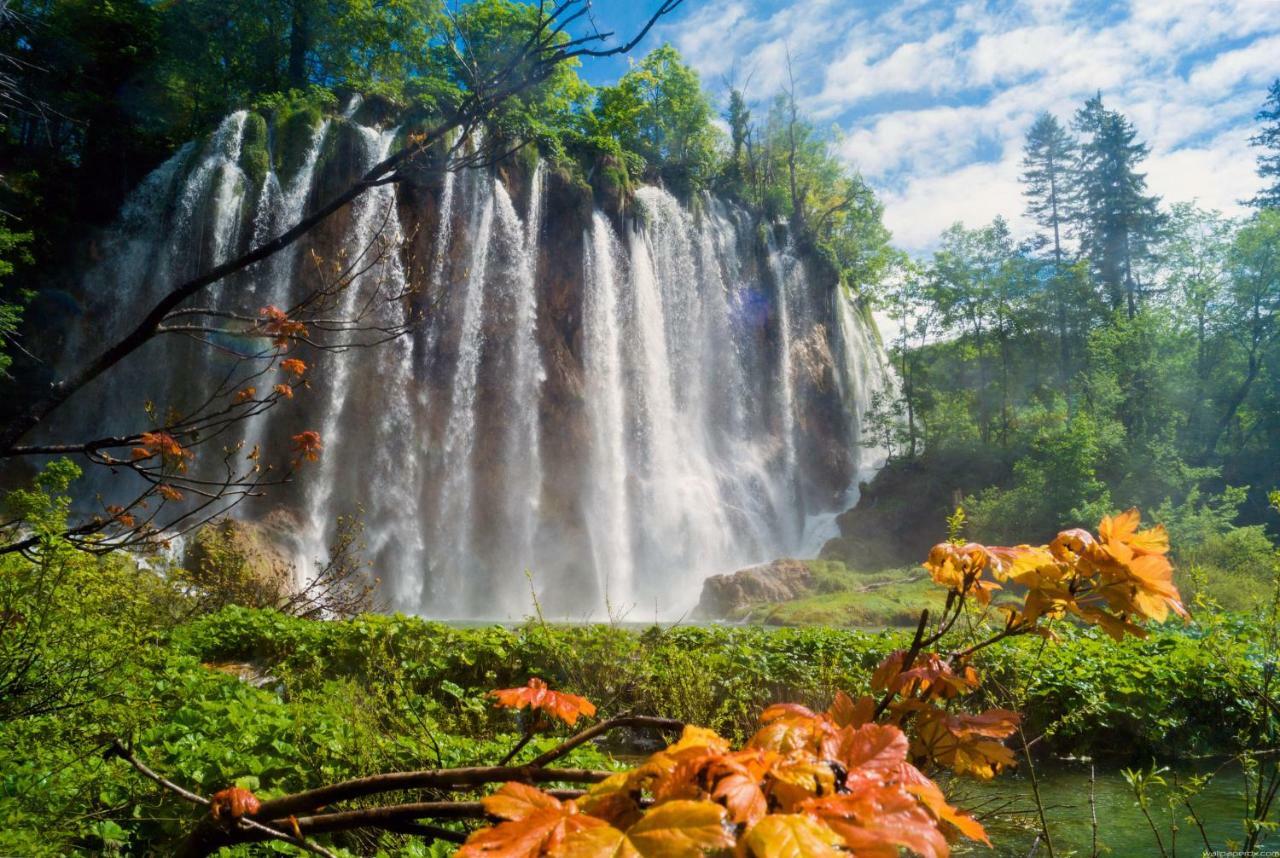 B&B Plitvice Lakes Villa Prica Плитвица Село Екстериор снимка