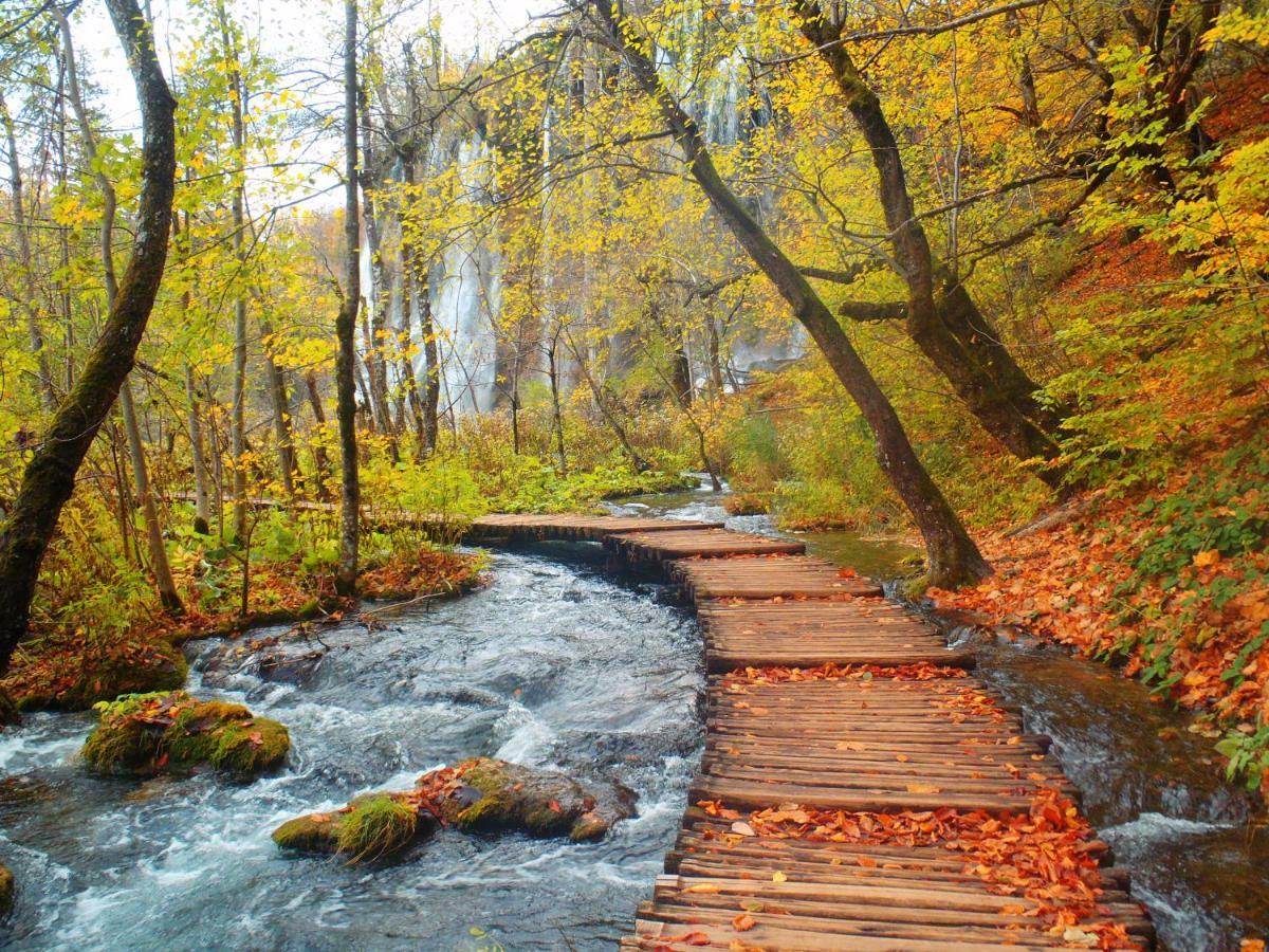 B&B Plitvice Lakes Villa Prica Плитвица Село Екстериор снимка